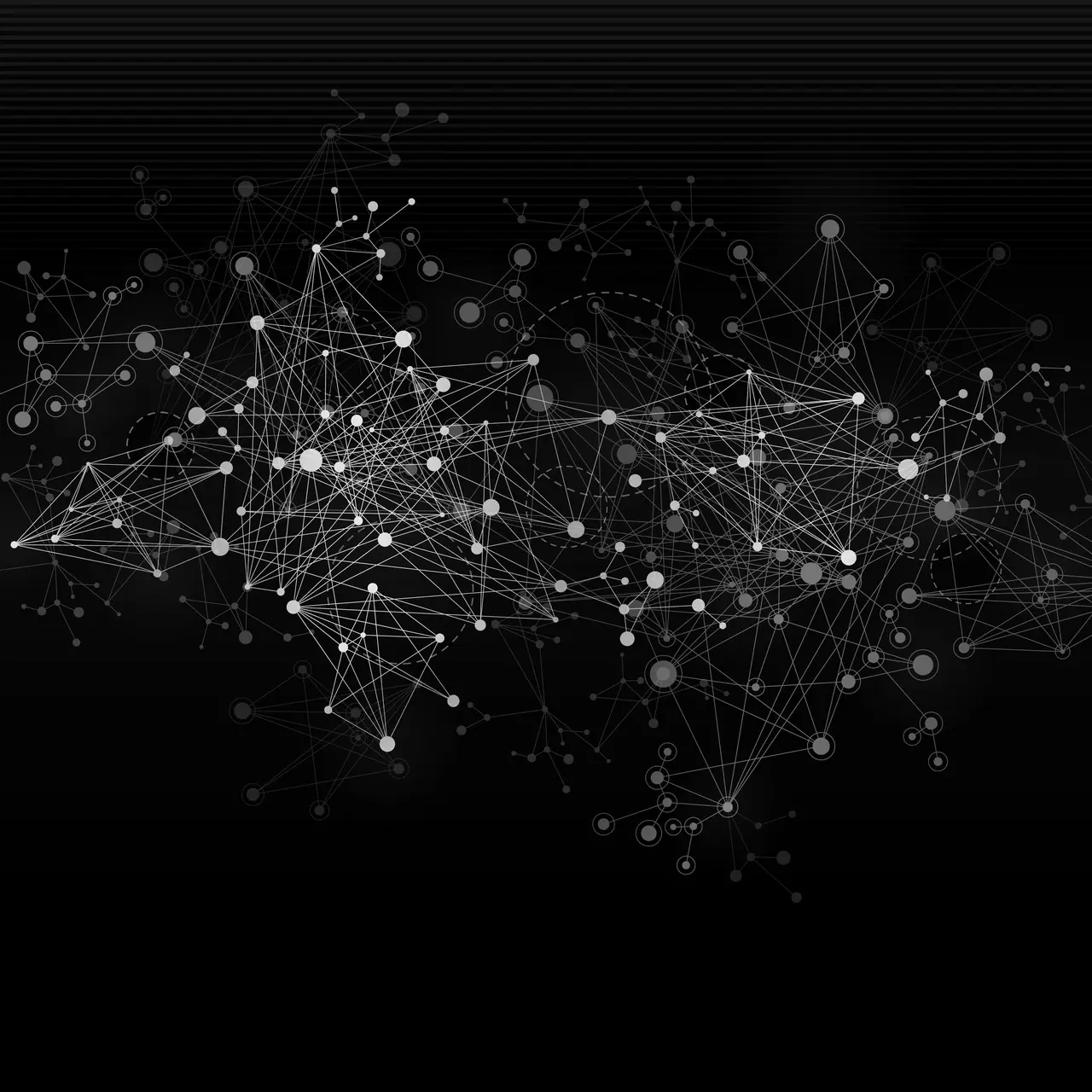 Particle knowledge network
